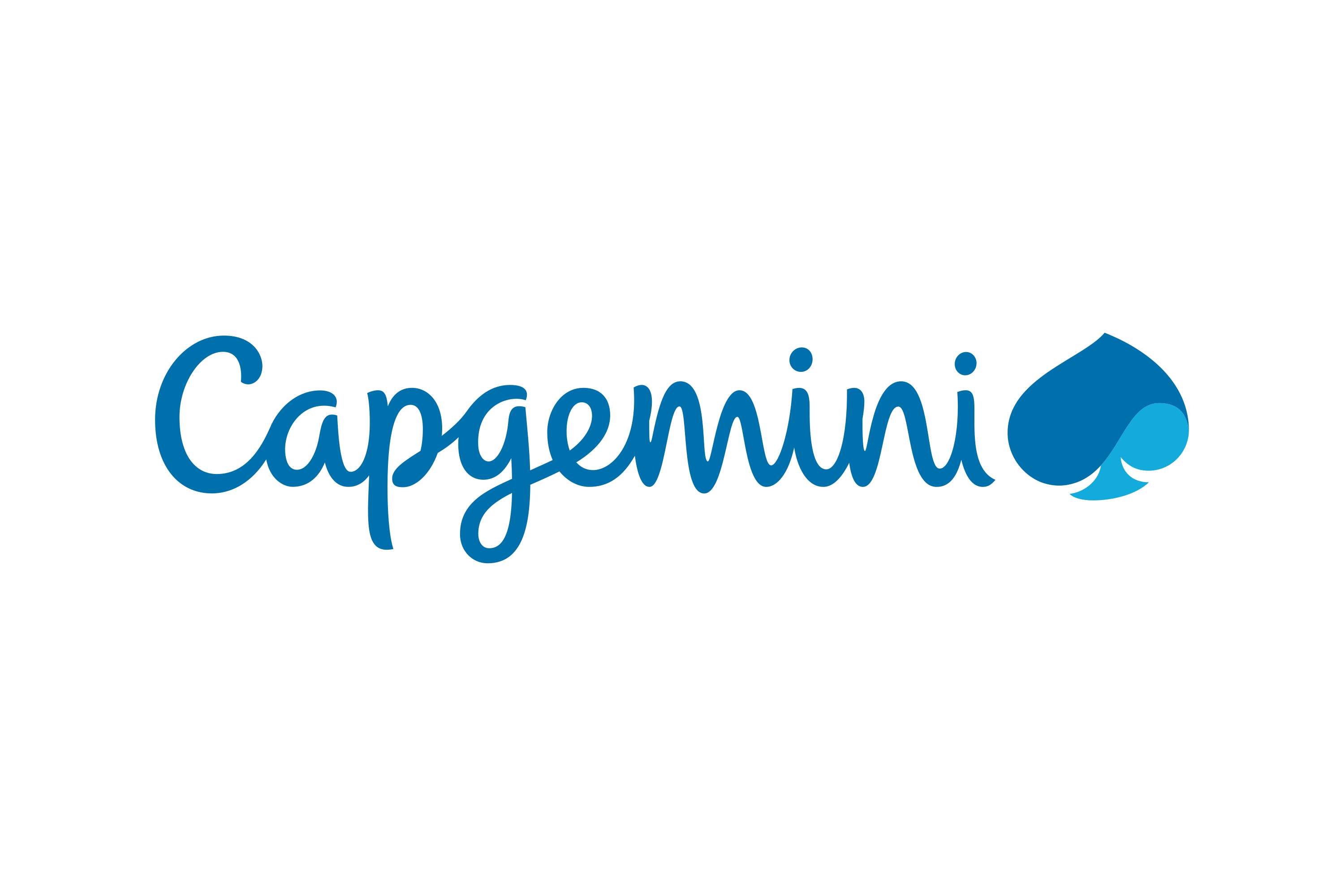 /Capgemini-Logo.wine.png